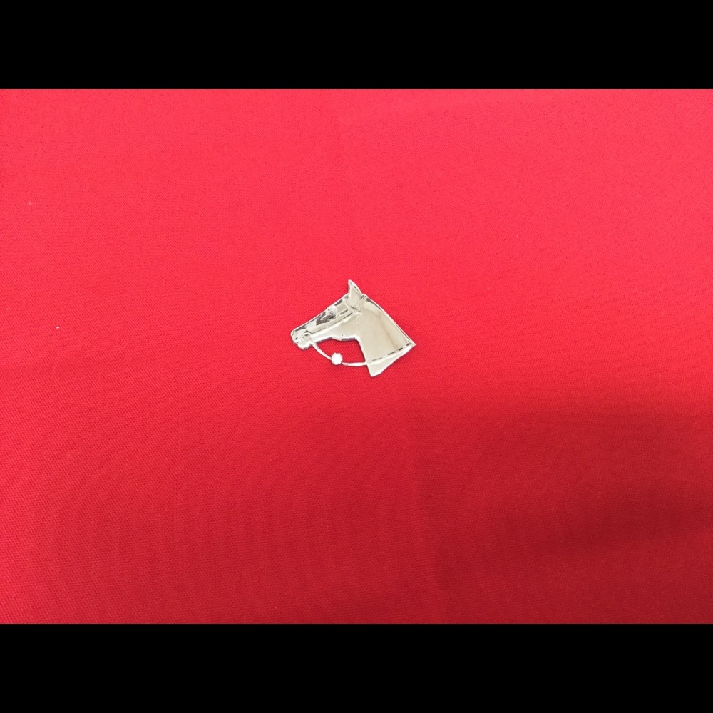 Silver stone horse pin